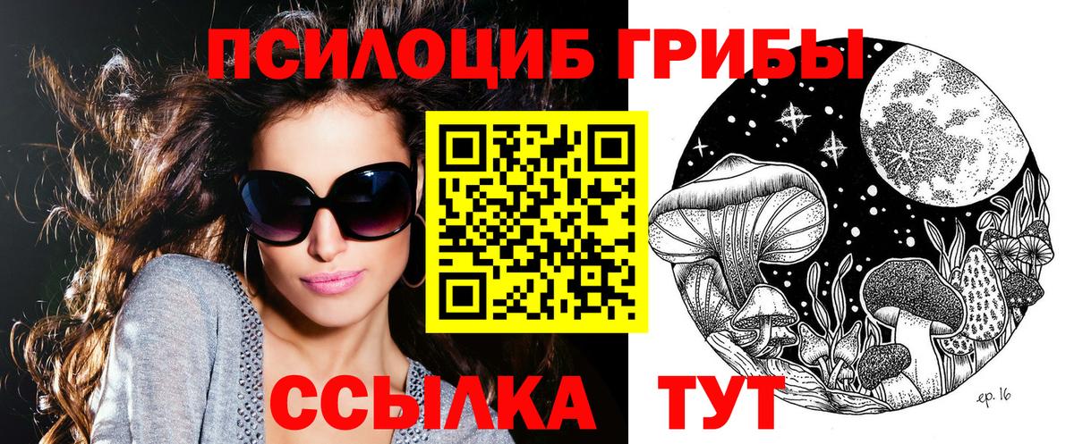 Тверь  Галлюциногенные грибы GOLDEN TEACHER  Галлюциногенные грибы Magic Shrooms  Вход с VPN 