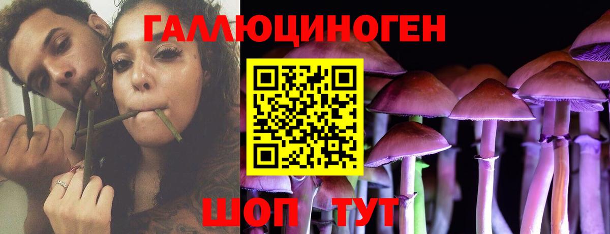 Псилоцибиновые грибы мицелий Тверь