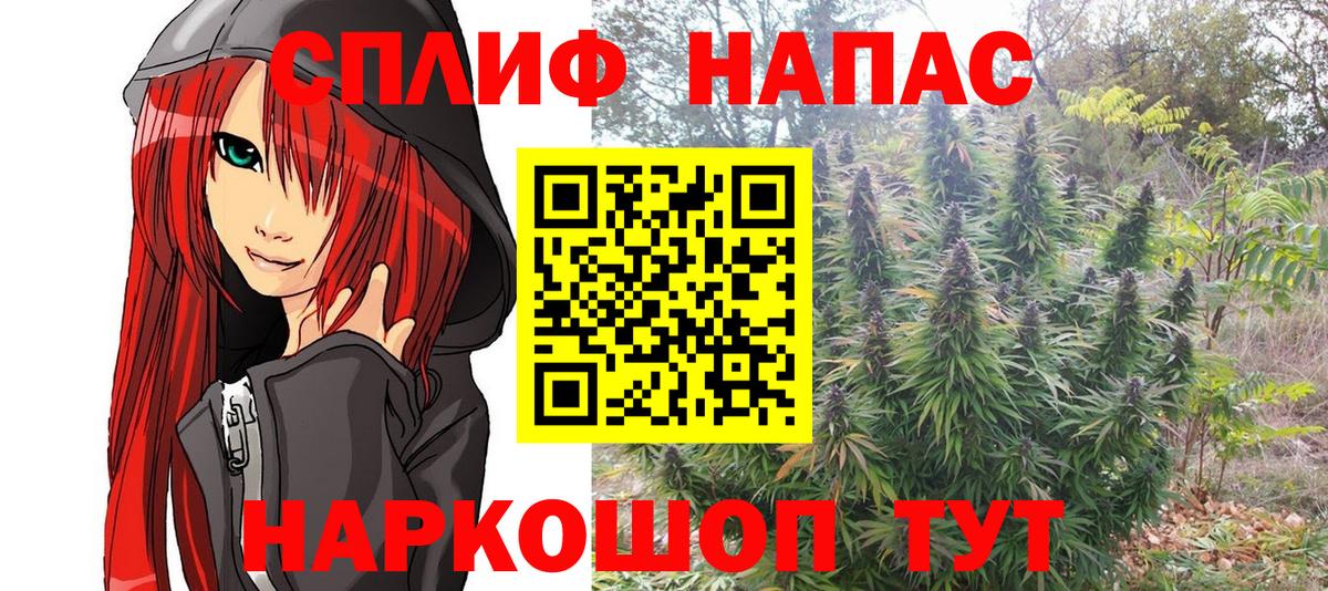 Тверь  Бошки Шишки планчик  Вход с VPN  Бошки Шишки THC 21%  Каннабис марихуана  Бошки марихуана тримм 